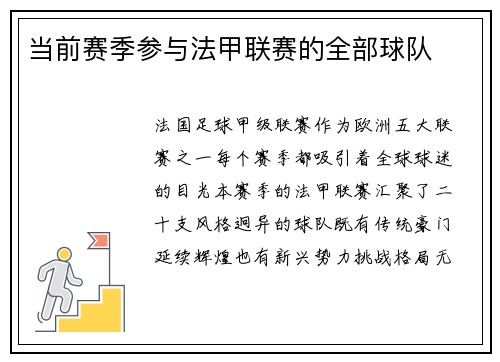 当前赛季参与法甲联赛的全部球队
